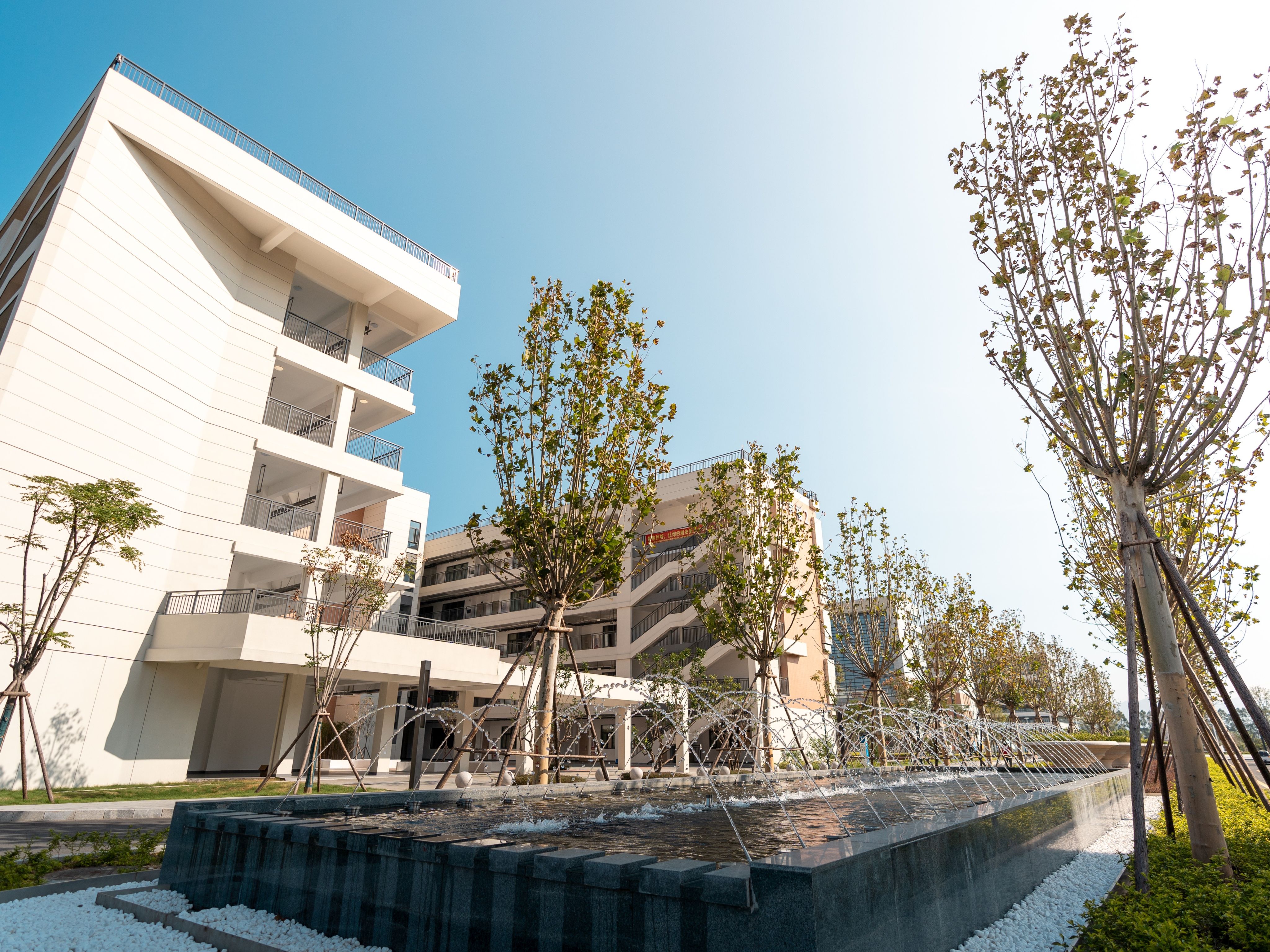 风韵犹存熟妇一区二区三区