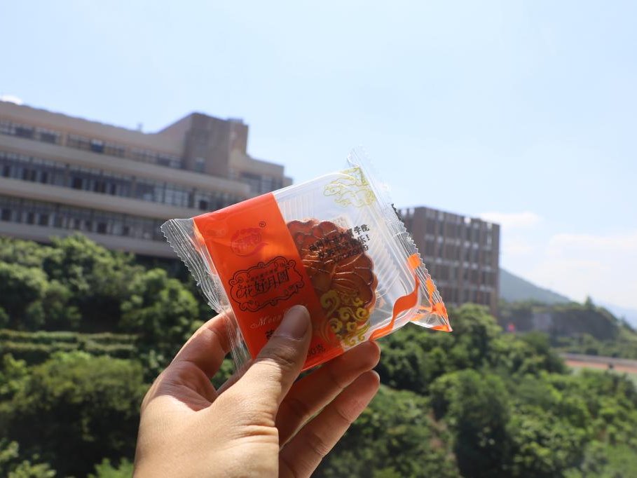 风韵犹存熟妇一区二区三区