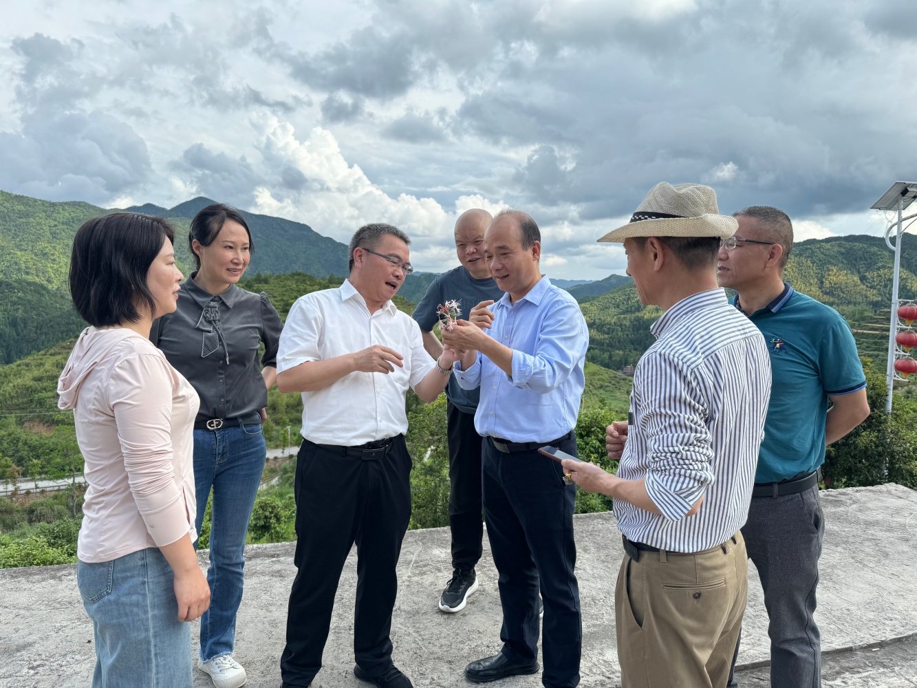 风韵犹存熟妇一区二区三区