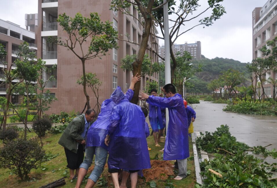风韵犹存熟妇一区二区三区