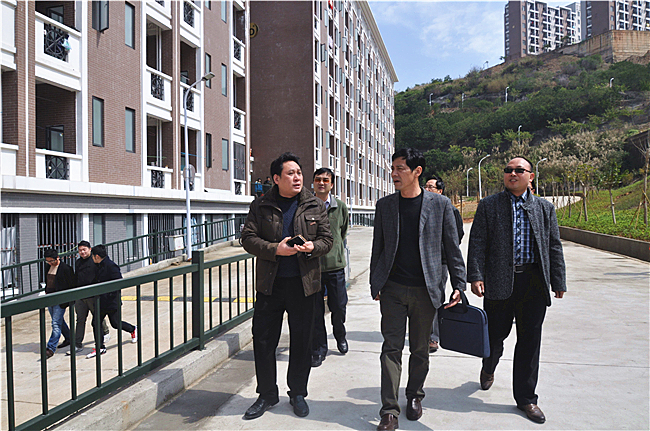 风韵犹存熟妇一区二区三区