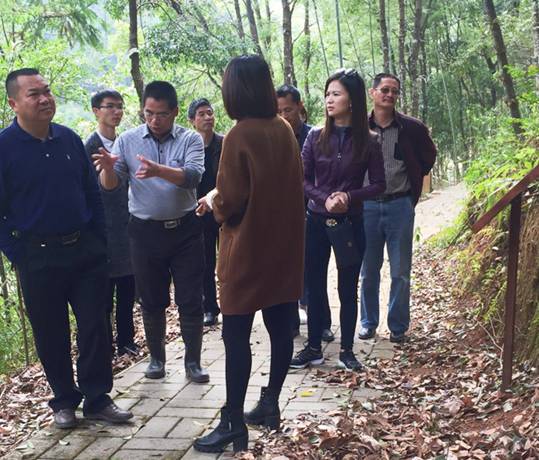 风韵犹存熟妇一区二区三区