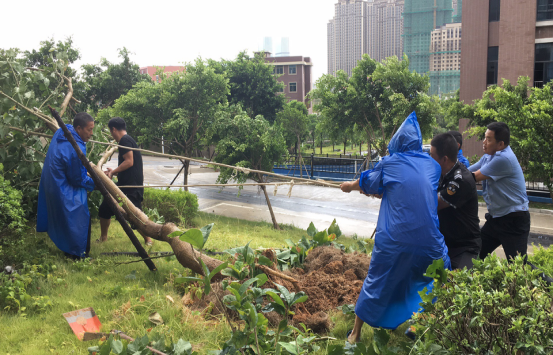 风韵犹存熟妇一区二区三区